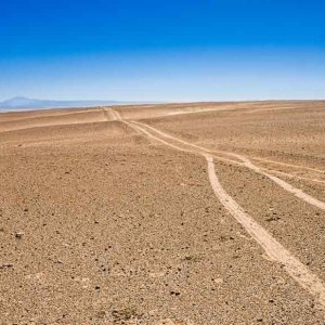 Trace-dans-le-desert-2