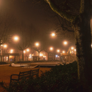 Brume-dans-le-parc