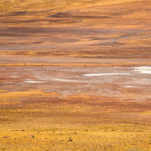Field of Ruta 23, Atacama desert, Chile by Michel Bisson