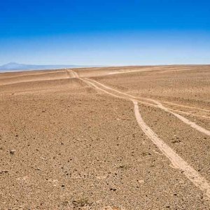 Trace-dans-le-desert-2