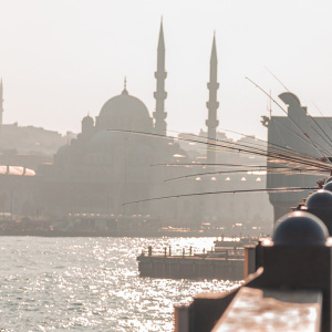 Pêche d'après-midi